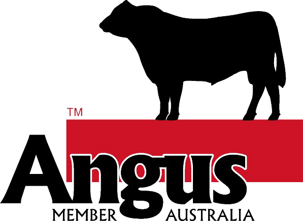 Angus Society Australia